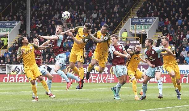 科这个年轻 科这个年轻