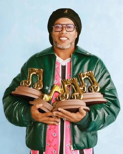 从荷甲到德 从荷甲到德